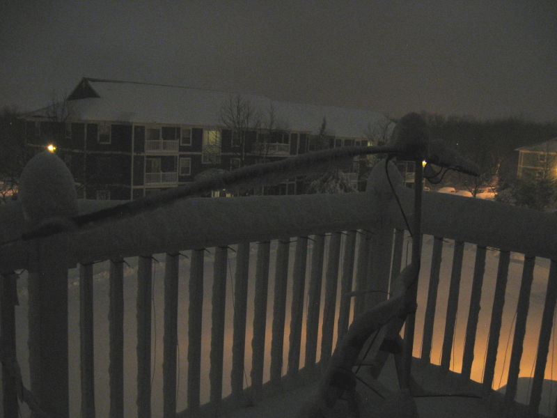 WebSDR N8LI Shortened 40m Dipole after a snow storm